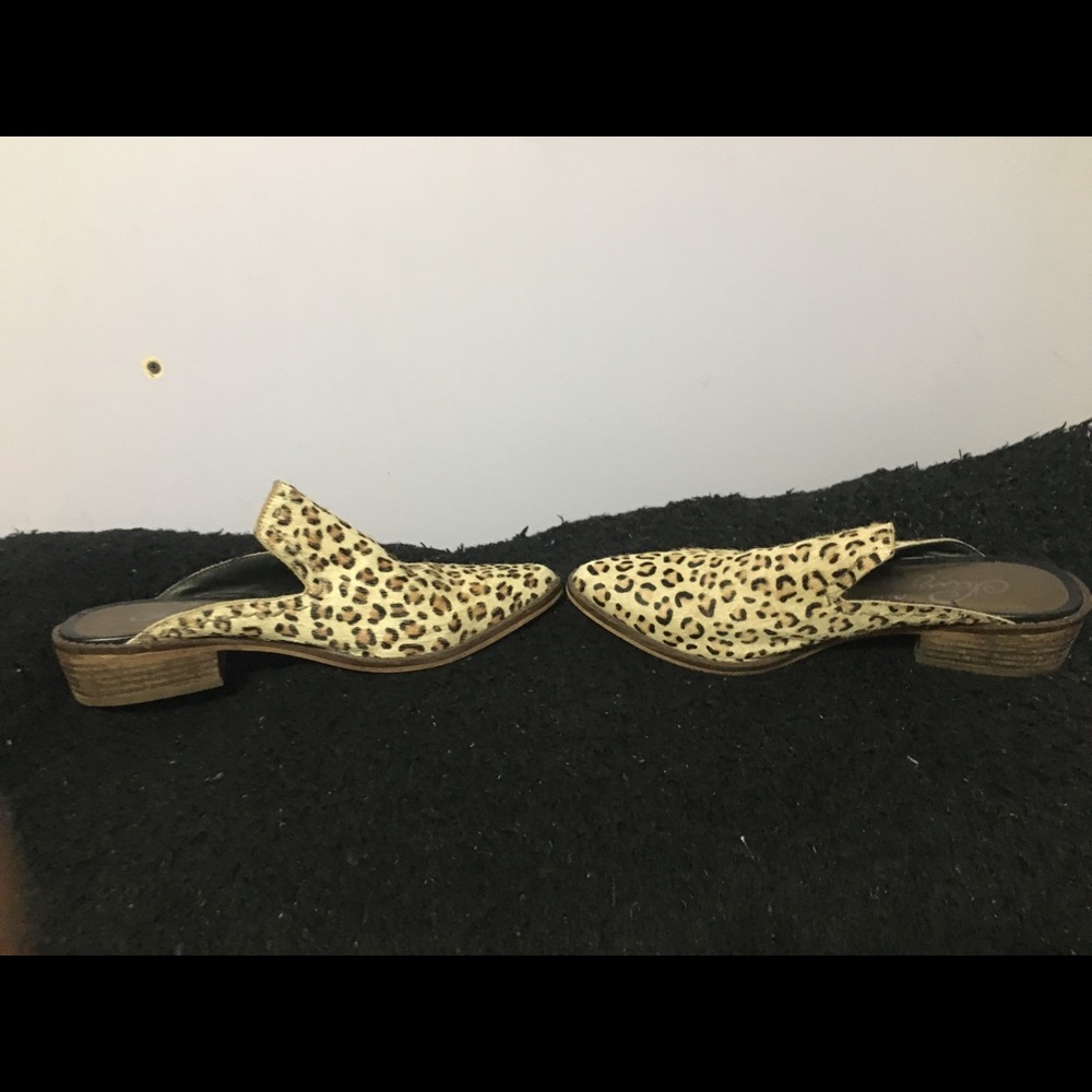 Mules - Picture 4 of 4